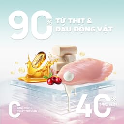 Thức ăn hạt cho mèo PetQ C90K - 1KG hạt có nhân bên trong, bổ sung sữa dê - Méo Chò Uni 4