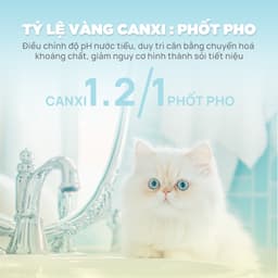 Thức ăn hạt cho mèo cao cấp PetQ C90U - 1KG chăm sóc sức khoẻ tiết niệu - Méo Chò Uni 7