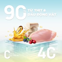 Thức ăn hạt cho mèo cao cấp PetQ C90U - 1KG chăm sóc sức khoẻ tiết niệu - Méo Chò Uni 2