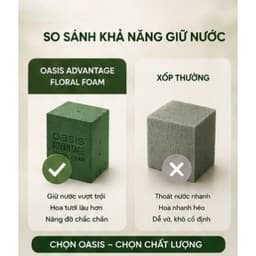 Xốp Cắm Hoa Oasis - Thùng 20 Viên Chất Lượng Cao, Tiện Dụng 8