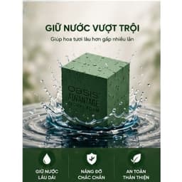 Xốp Cắm Hoa Oasis - Thùng 20 Viên Chất Lượng Cao, Tiện Dụng 9
