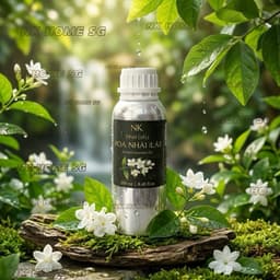 Tinh Dầu Hoa Nhài (Lài) Dung Tích Lớn – Hương Hoa Dịu Nhẹ, Xông Phòng, Khuếch Tán 4