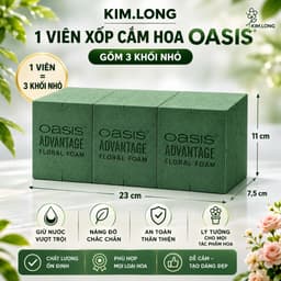Xốp Cắm Hoa Oasis - Thùng 20 Viên Chất Lượng Cao, Tiện Dụng 2