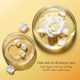 [MỚI] Tinh Chất Xả Vải DOWNY LUXE Với Tinh Chất Mặt Trời - Thơm Như Được Phơi Dưới Nắng (Chai 450ml/ Túi 1L) 8
