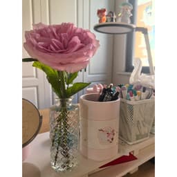 Bình Hoa Lọ Hoa Thủy Tinh Mini Decor Cắm Hoa Sự Kiện, Nhà Hàng, Trang Trí Nhà Cửa, Bàn Làm Việc 8