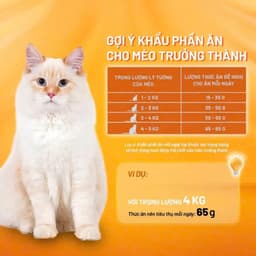 Thức Ăn Hạt Mininor Yum cá hồi 1.5KG - Hương Vị Đa Dạng Cân Bằng Hoàn Hảo - MÉO CHÒ UNI 7