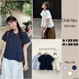 [Peinn] Áo Cổ Sen Tay Bồng Bèo Dưới Xếp Ly 12 THÁNG SÁU CLOTHING MA860 1