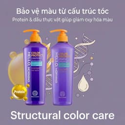 Dầu Gội Hello, Morning 600mlx2–Phục Hồi Hư Tổn, Làm Sạch Da Đầu, Giữ Màu Tóc Nhuộm, Tạo Độ Phồng Tóc 7