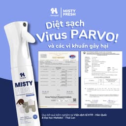 Xịt Khử Mùi/ Lõi thay Chó Mèo Misty Fresh Khử Mùi Hôi Nước Tiểu Cát Mèo An Toàn 300ml - Méo Chò Uni 7