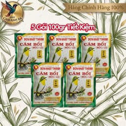 Combo 10 Gói Khuyên Sơn Nhật Thành - Gói 100gr 7