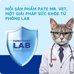 Combo 6 lon Mix vị Pate Lon MR.VET 400G cho mèo mọi lứa tuổi dễ tiêu hoá, mượt lông - Mèo Chò Uni 8
