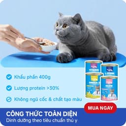 Combo 6 lon Mix vị Pate Lon MR.VET 400G cho mèo mọi lứa tuổi dễ tiêu hoá, mượt lông - Mèo Chò Uni 3