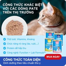 Combo 6 lon Mix vị Pate Lon MR.VET 400G cho mèo mọi lứa tuổi dễ tiêu hoá, mượt lông - Mèo Chò Uni 6