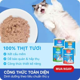 Combo 6 lon Mix vị Pate Lon MR.VET 400G cho mèo mọi lứa tuổi dễ tiêu hoá, mượt lông - Mèo Chò Uni 2