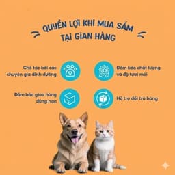 Thức Ăn Hạt Mininor Yum cá hồi 1.5KG - Hương Vị Đa Dạng Cân Bằng Hoàn Hảo - MÉO CHÒ UNI 5