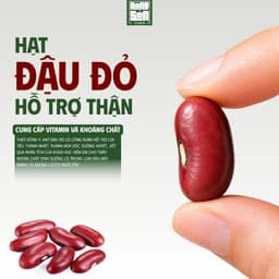 Đậu Đỏ Hạt To, Nguyên Chất, Dễ Chế Biến, Dinh Dưỡng Cao và Ngon Miệng 4
