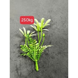 100g cỏ điểm đã bỏ gọng,điểm hoa sáp,hoa lụa,oản... .... .. 9