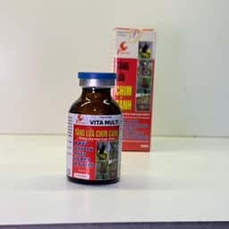 Tăng lửa Sao Việt cho chim Chào Mào Thi Đấu (20ml) lọ kiểu mới 2