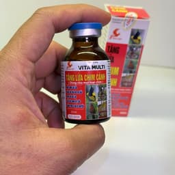 Tăng lửa Sao Việt cho chim Chào Mào Thi Đấu (20ml) lọ kiểu mới 1