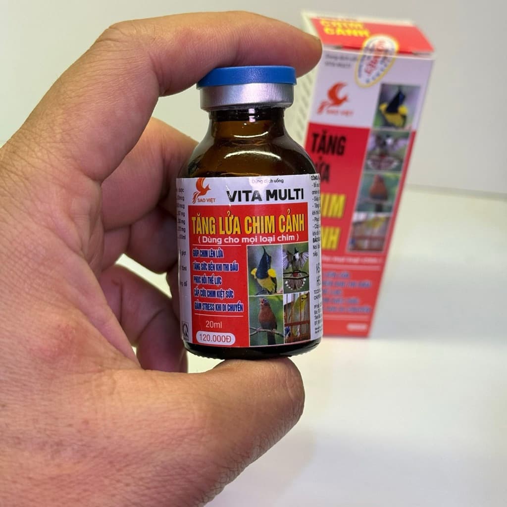 Tăng lửa Sao Việt cho chim Chào Mào Thi Đấu (20ml) lọ kiểu mới