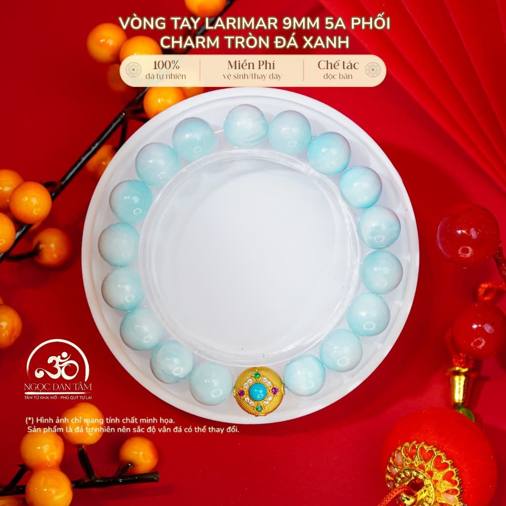 Ngọc Đan Tâm - Vòng Tay Larimar 9mm 5A Phối Charm Tròn Đá Xanh - Mệnh Thuỷ & Mệnh Mộc