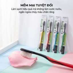 COMBO Bàn Chải Đánh Răng Lông Tơ Mềm Mại JYoohome Bàn Chải Đánh Răng Du Lịch Dã Ngoại Đa Năng 3