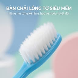 COMBO Bàn Chải Đánh Răng Lông Tơ Mềm Mại JYoohome Bàn Chải Đánh Răng Du Lịch Dã Ngoại Đa Năng 2