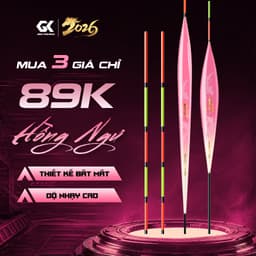 Phao Câu Đài Hồng Ngư Phao Nano NS Chuyên Câu Cá Diếc Cá Rô Cá Chép 1.2g - 2.5g 1
