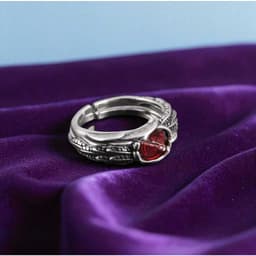 Vòng Cổ Đôi Kamen Rider OOO Ankh Broken Taka Core Medal Anime Cosplay Couple 7