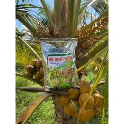 ĐỆ NHẤT DỪA TÚI 10KG( HÀNG LOẠI 1) GIÚP ĐẬU TRÁI- TO TRÁI- MẬP LƯỠI MÈO- CHỐNG NỨT TRÁI-TĂNG SẢN LƯỢNG TRÁI 2