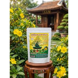 DƯỠNG MAI VÀNG TÚI 2KG-PHỤC HỒI CÂY SAU TẾT, SAU CHIẾT CÀNH, TO GỐC MẬP NỤ, RA RỄ MẠNH, BUNG CHỒI, ĐÂM TƯỢC, ĐẸP MÀU HOA 1