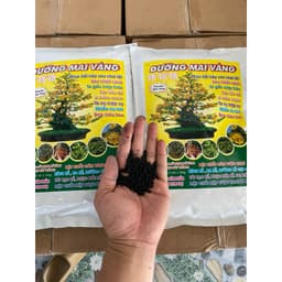 DƯỠNG MAI VÀNG TÚI 2KG-PHỤC HỒI CÂY SAU TẾT, SAU CHIẾT CÀNH, TO GỐC MẬP NỤ, RA RỄ MẠNH, BUNG CHỒI, ĐÂM TƯỢC, ĐẸP MÀU HOA 4