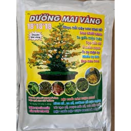 DƯỠNG MAI VÀNG TÚI 2KG-PHỤC HỒI CÂY SAU TẾT, SAU CHIẾT CÀNH, TO GỐC MẬP NỤ, RA RỄ MẠNH, BUNG CHỒI, ĐÂM TƯỢC, ĐẸP MÀU HOA 6