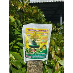 DƯỠNG MAI VÀNG TÚI 2KG-PHỤC HỒI CÂY SAU TẾT, SAU CHIẾT CÀNH, TO GỐC MẬP NỤ, RA RỄ MẠNH, BUNG CHỒI, ĐÂM TƯỢC, ĐẸP MÀU HOA 5