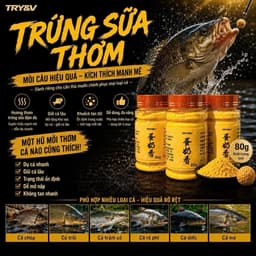 [ CHÍNH HÃNG TRY&VY ] Trứng Sữa Thơm thành phần tự nhiên, hương thơm đặc trưng, cá quấn, giữ ổ tốt 1