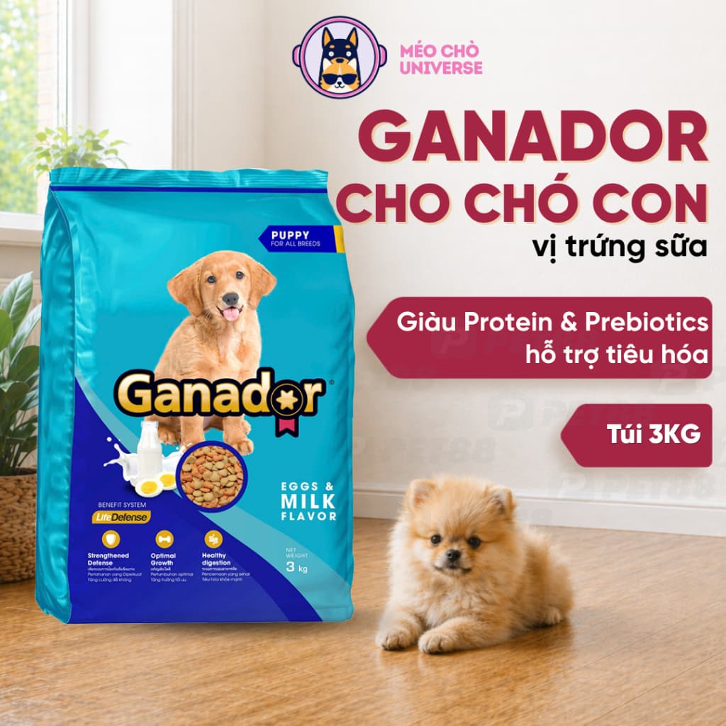 Hạt cho chó con Ganador vị trứng sữa	3KG giúp chắc khoẻ xương - MÉO CHÒ UNI