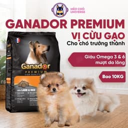 Hạt cho chó Ganador premium 10kg/ 3kg vị cừu gạo hỗ trợ mượt da lông - MÉO CHÒ UNI 1