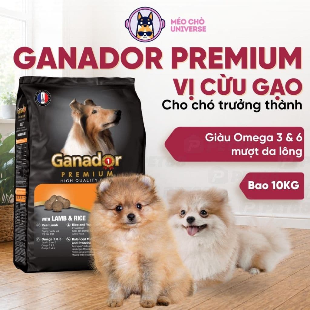 Hạt cho chó Ganador premium 10kg/ 3kg vị cừu gạo hỗ trợ mượt da lông - MÉO CHÒ UNI