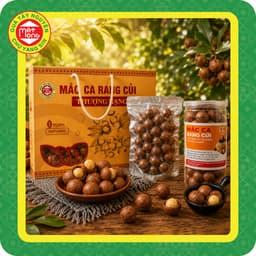 Macca Rang Củi Thượng Hạng 500g - Quà Tây Nguyên 1