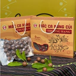 Macca Rang Củi Thượng Hạng 500g - Quà Tây Nguyên 2