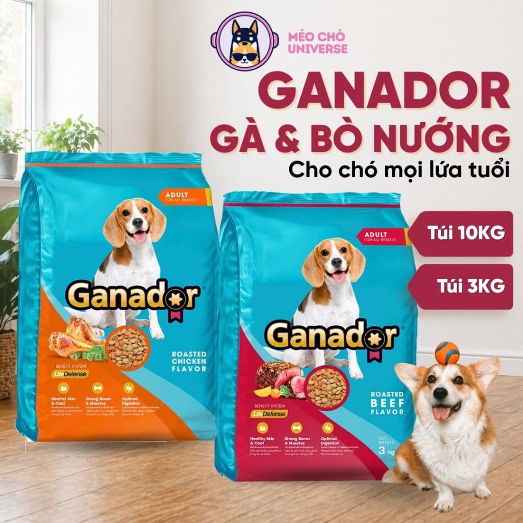 Hạt cho chó Ganador vị bò nướng & gà nướng 10KG/ 3KG hỗ trợ tiêu hoá, ăn ngon - MÉO CHÒ UNI