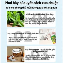 Chai Xịt Đuổi Chuột Thảo Mộc RAT SPRAY 500ml – Xua Chuột Ngăn Phá Hoại, Dùng Cho Nhà Kho – Bếp – Xe 5