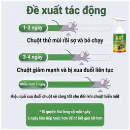 Chai Xịt Đuổi Chuột Thảo Mộc RAT SPRAY 500ml – Xua Chuột Ngăn Phá Hoại, Dùng Cho Nhà Kho – Bếp – Xe 4