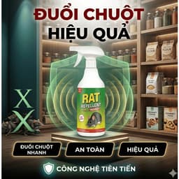 Chai Xịt Đuổi Chuột Thảo Mộc RAT SPRAY 500ml – Xua Chuột Ngăn Phá Hoại, Dùng Cho Nhà Kho – Bếp – Xe 8