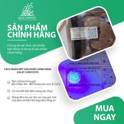 Mật ong nguyên chất hoa nhãn - Dalat Cordyceps 8
