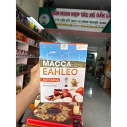 Macca EaHleo Ocop 4sao - Hộp Cam 500G - Quà Tây Nguyên 2