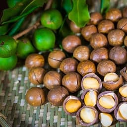 Macca EaHleo Ocop 4sao - Hộp Cam 500G - Quà Tây Nguyên 3