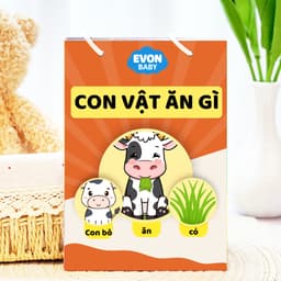 Thẻ phát triển kỹ năng giao tiếp EVON - Giúp Bé Tập Nói Sớm -"Các Con Vật Ăn Gì?" 1