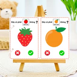 Thẻ Flash EVON BABY dạy bé tập nói - Tư duy câu hỏi có/không 8