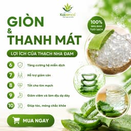 Thạch Nha Đam Aloka Giòn Thanh Mát Chế Biến Sẵn Túi 1Kg - Nha Đam Ăn Liền Topping Trà Sữa , dokhogiasi 3